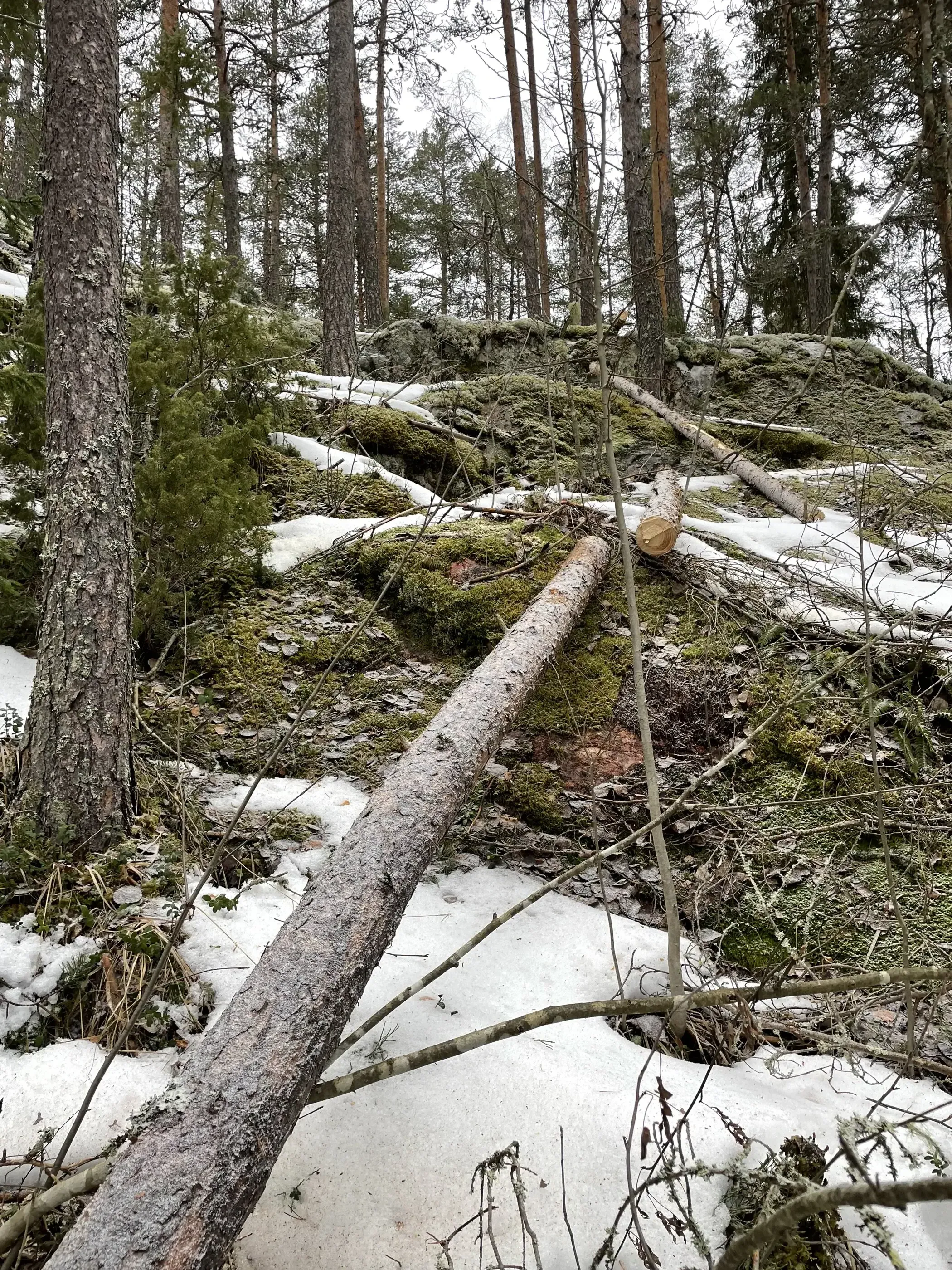 Vinssaten pois rinteiltä